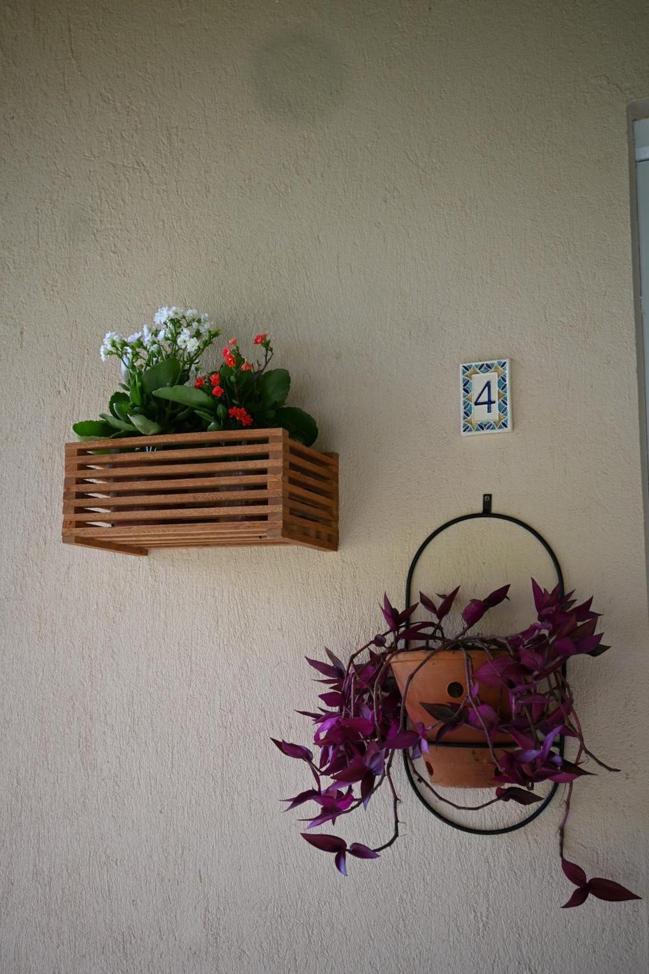 Bed and Breakfast Sitio Terra Sana Santa Teresa  Exterior foto